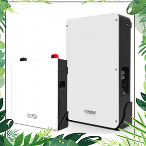 Lithium Battery For Inverters